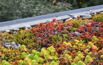 the cost of Boscadjack green roof installation